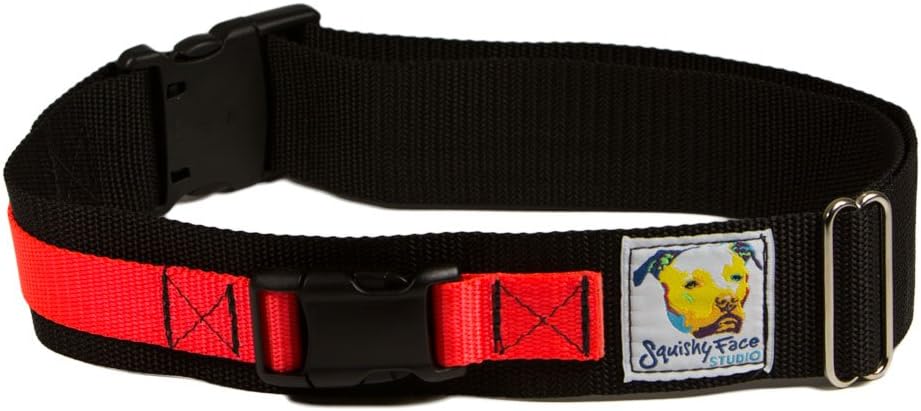 Squishy Face Studio Hands Free Dog Leash Belt