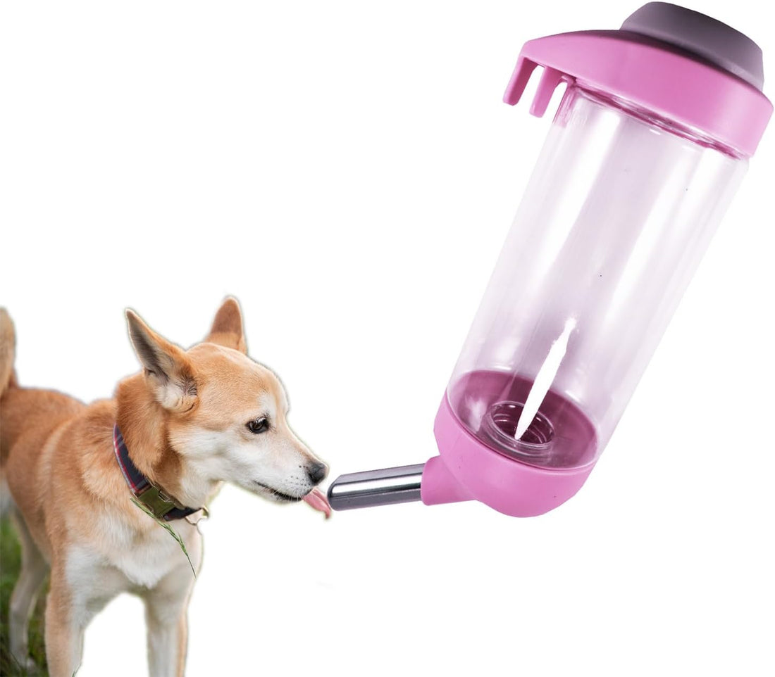 Dog Crate Water Bottle Dispenser