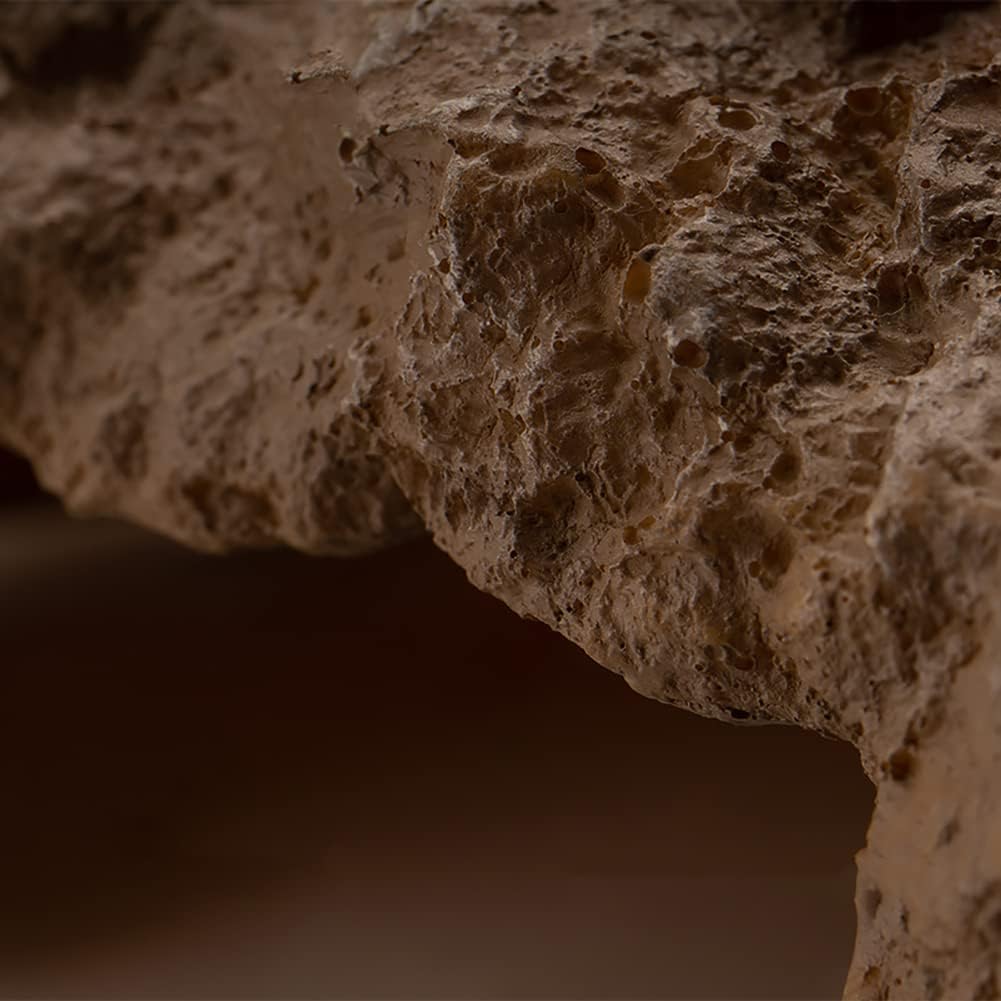 Reptile Hide Bearded Dragon Cave Hideouts Habitat Décor for Snake
