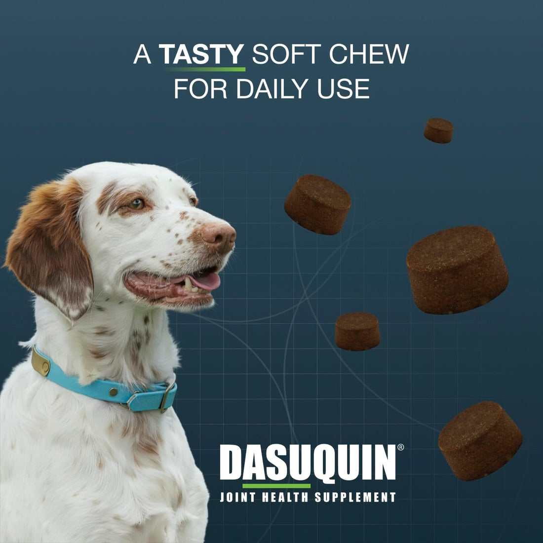 Nutramax Dasuquin for Small to Medium Dogs, Joint Health Supplement