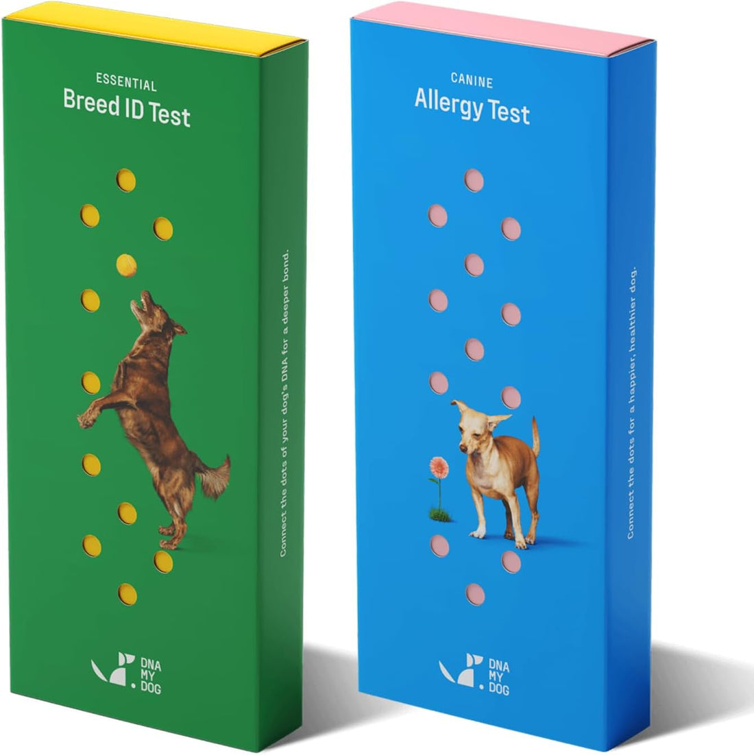 DNA MY DOG – Ultimate Health & Breed Bundle