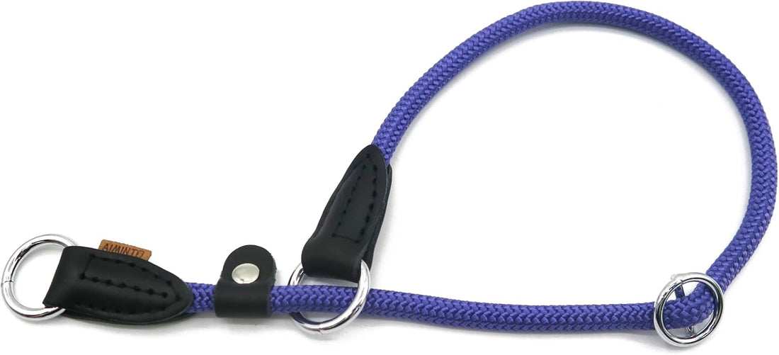 Braided Round Martingale Dog Collar