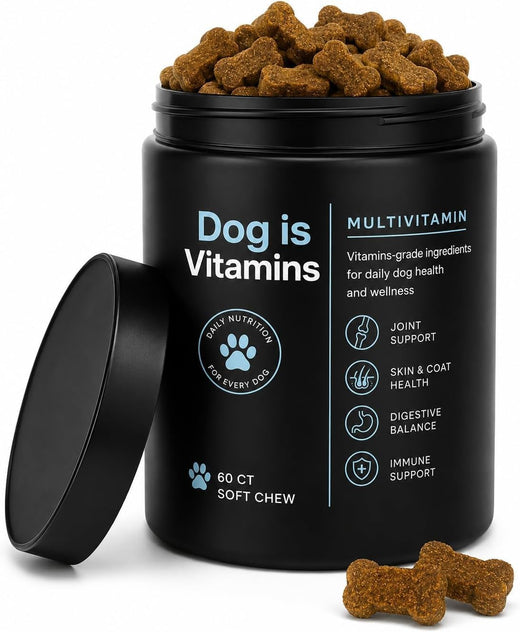 Dog Multivitamin for Itch Relief