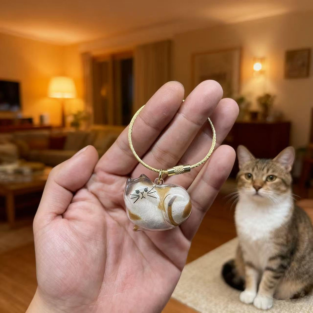 sencdfly Cat Hair Storage Keychain,Transparent Cat and Dog Hair