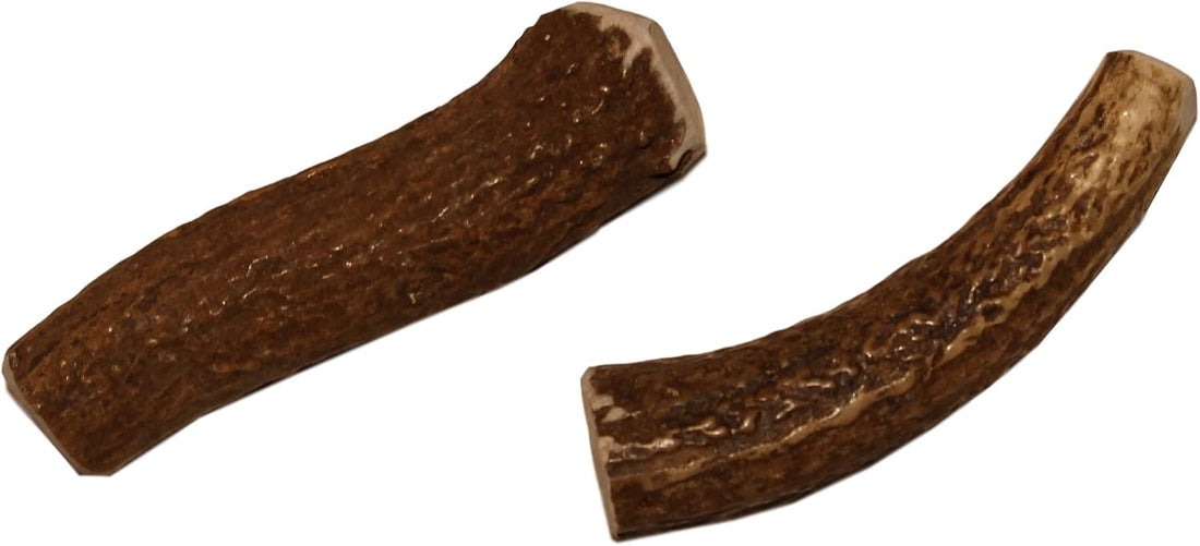 Elkhorn Premium Chews – X Large Whole Single Elk Antler Chew