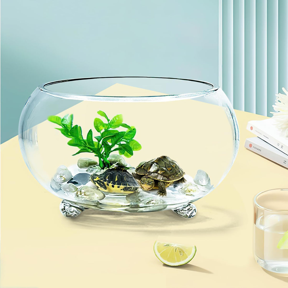 2 Gallon Glass Fish Tank,Sturdy Nicely Betta Fish Bowl,Small