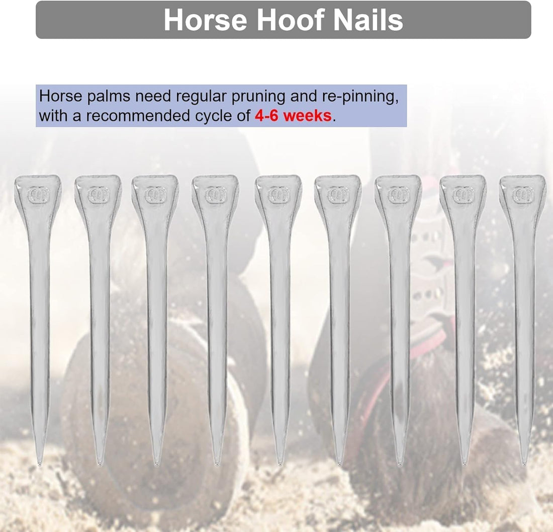 KUIDAMOS 250PCS Horseshoe Nails horseshoe nails e6 Horseshoes
