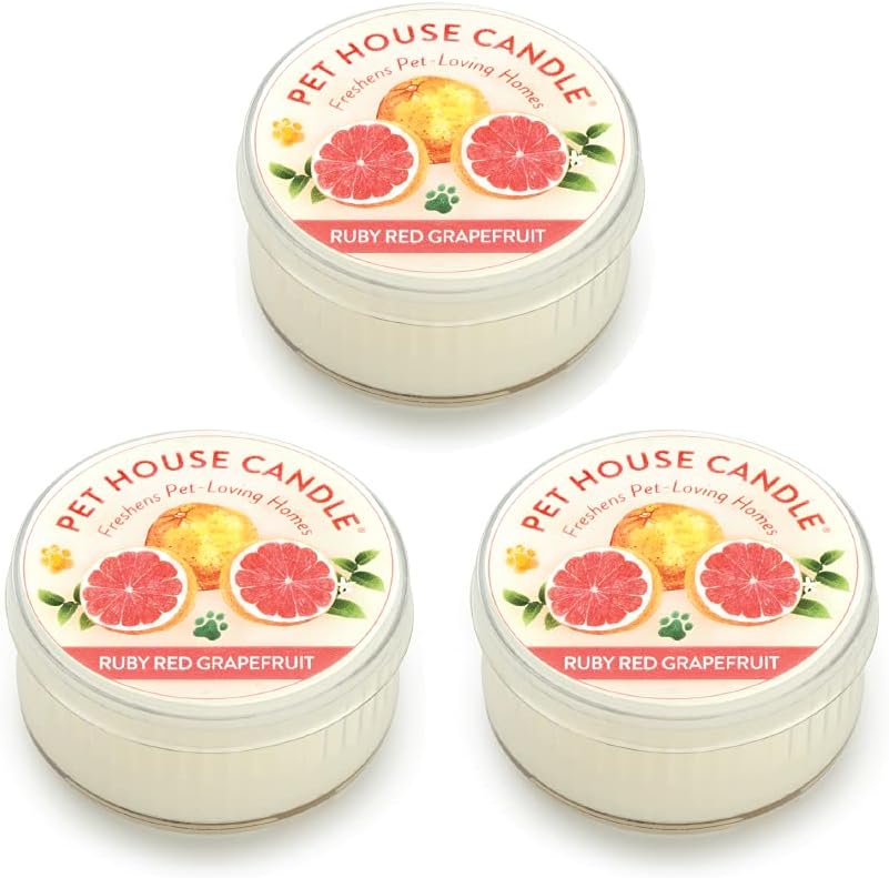 Fireside Mini Candles Plant-Based Wax, 3 Pack Pet House