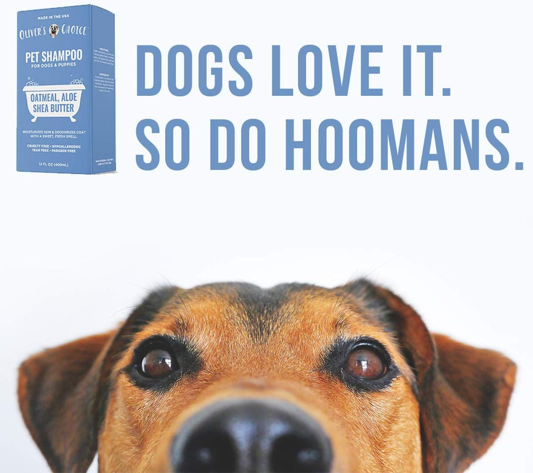 OLIVER'S CHOICE Dog Shampoo with Oatmeal, Aloe & Shea Butter