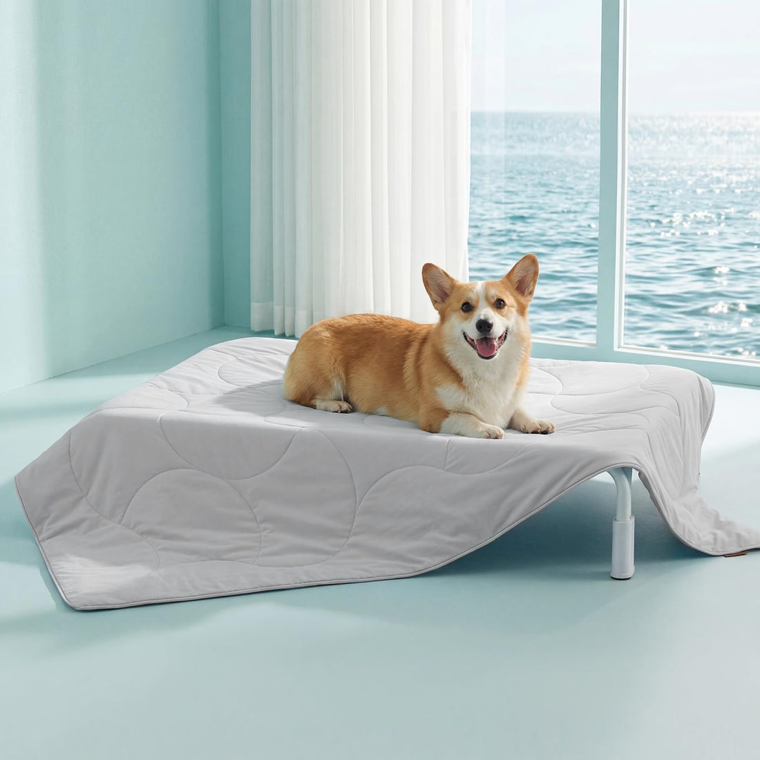 ZOMISIA Premium Cooling Blanket for Large Dogs