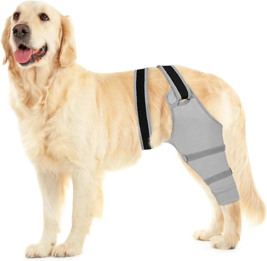 Dog Rear Leg Sleeve to Stop Licking