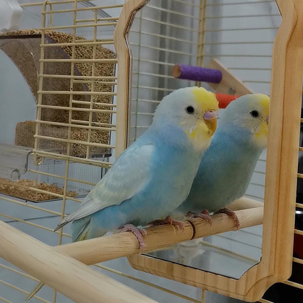 Bird Mirror with Wooden Perch, 15cm Parakeet Toys for Cage