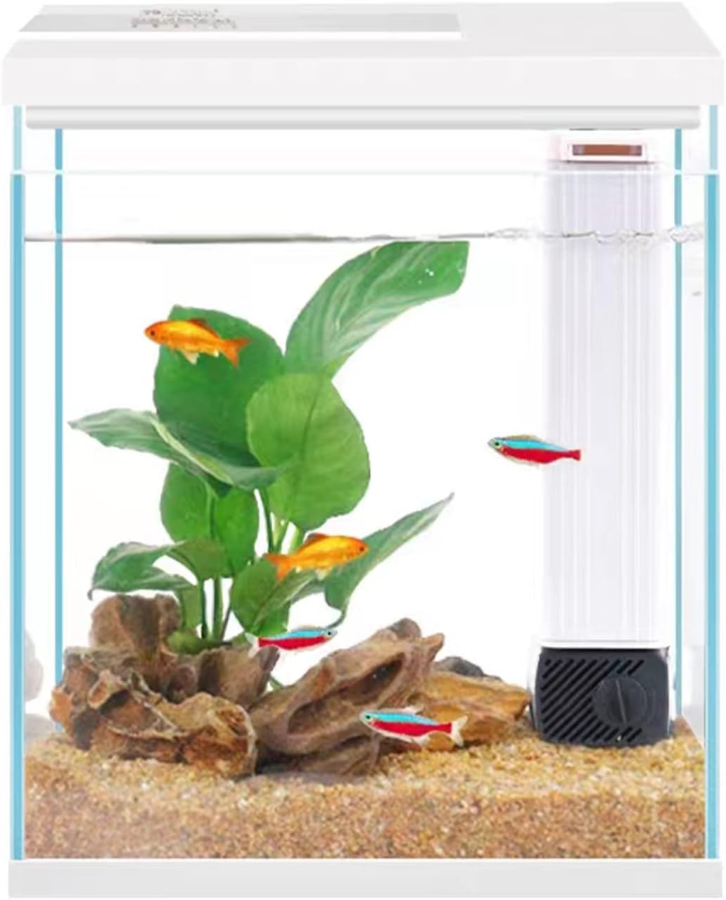 Pronetcus Betta Fish Tank, 2 Gallon Glass Aquarium Starter Kit