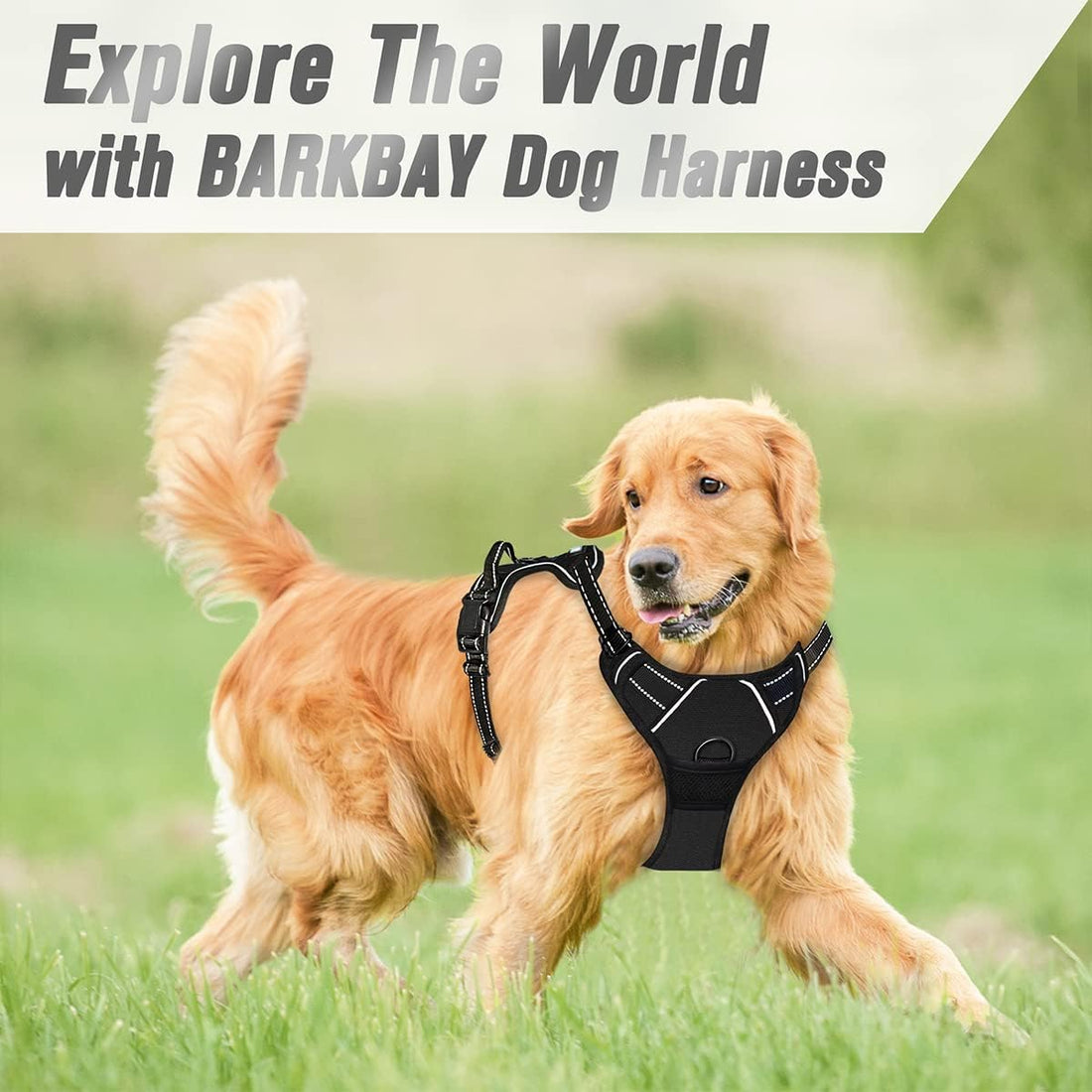 BARKBAY No Pull Dog Harness Front Clip Heavy Duty Reflective Easy