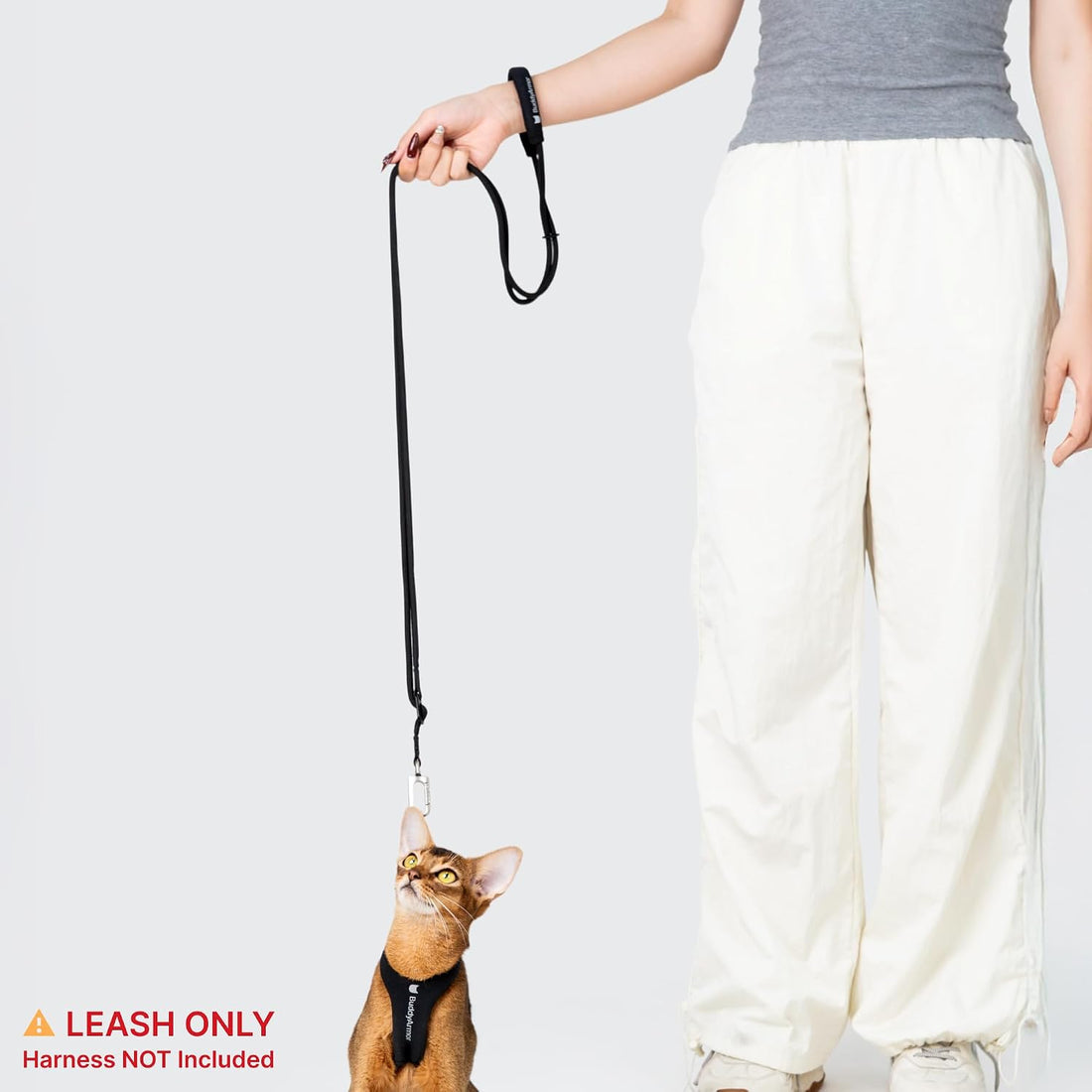 Hands Free Cat Leash Lightweight Adjustable Padded Handle