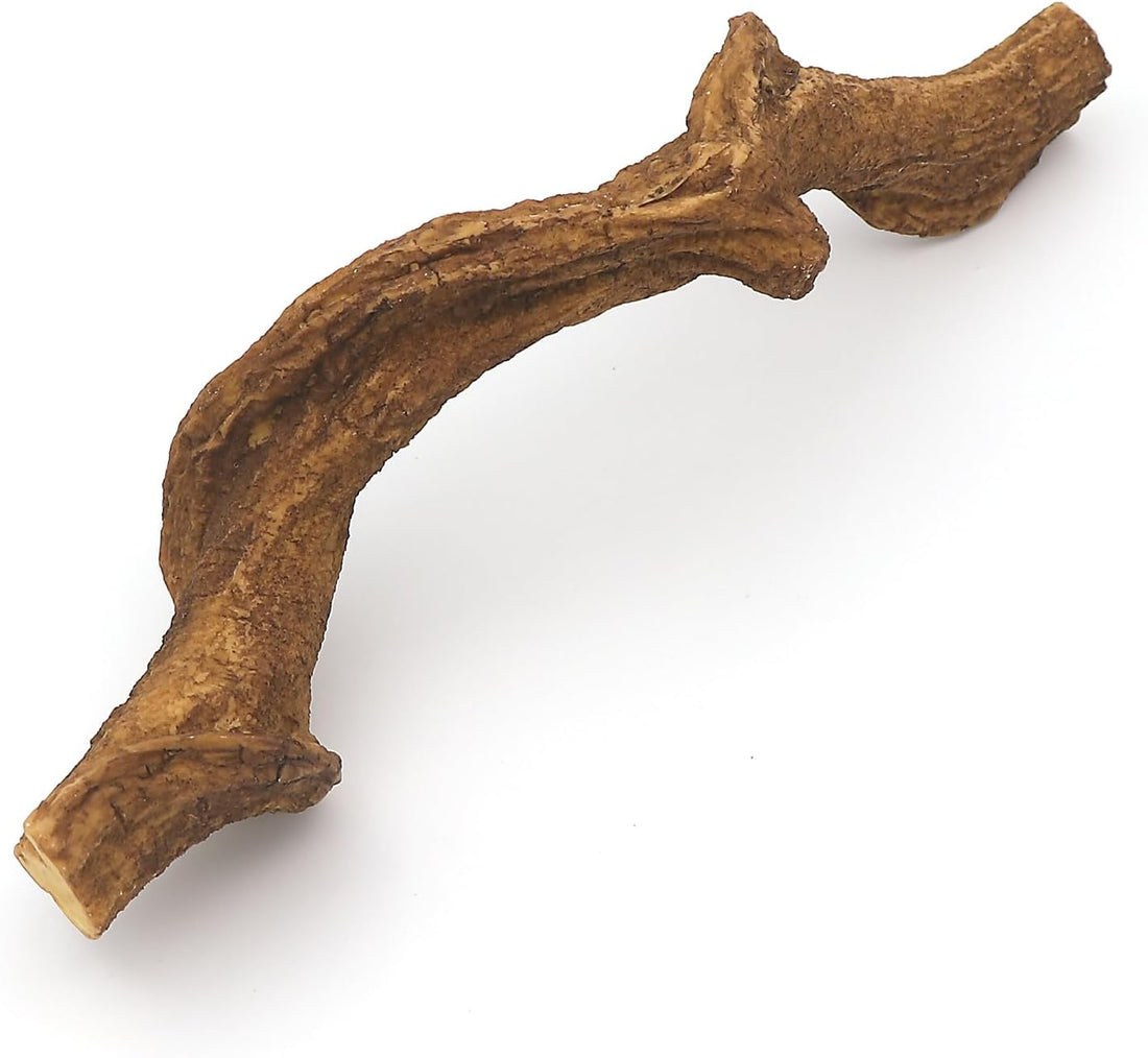 AQUA KT Reptile Bent Climber Terrarium Branch for Lizard Snake
