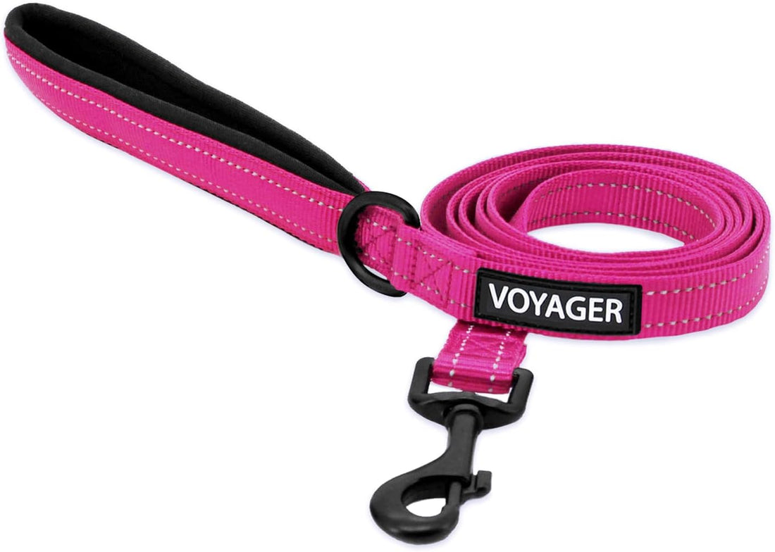 Best Pet Supplies Voyager Dog Collar Safety Clip with Dual Clasps