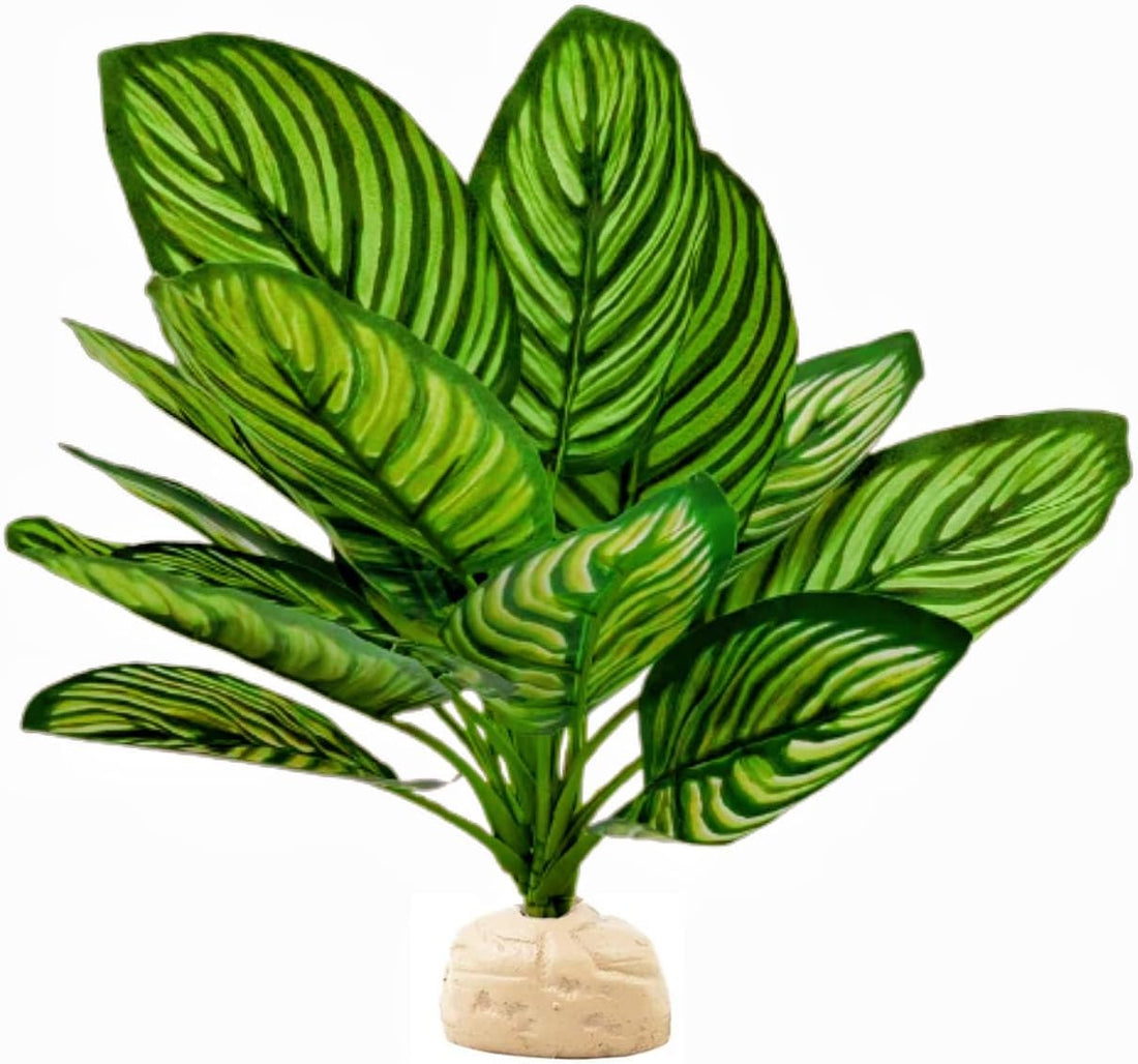 Reptile Plants for Terrarium Decor,Leopard Gecko Tank Plants