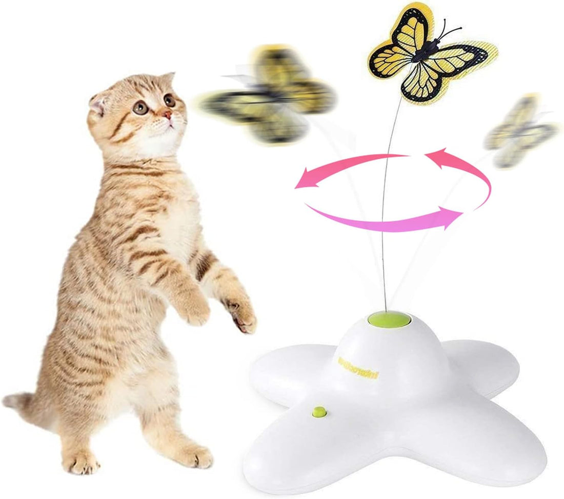 AFP Interactive Cat Toy, Butter-Fly Interactive for Indoor Cats