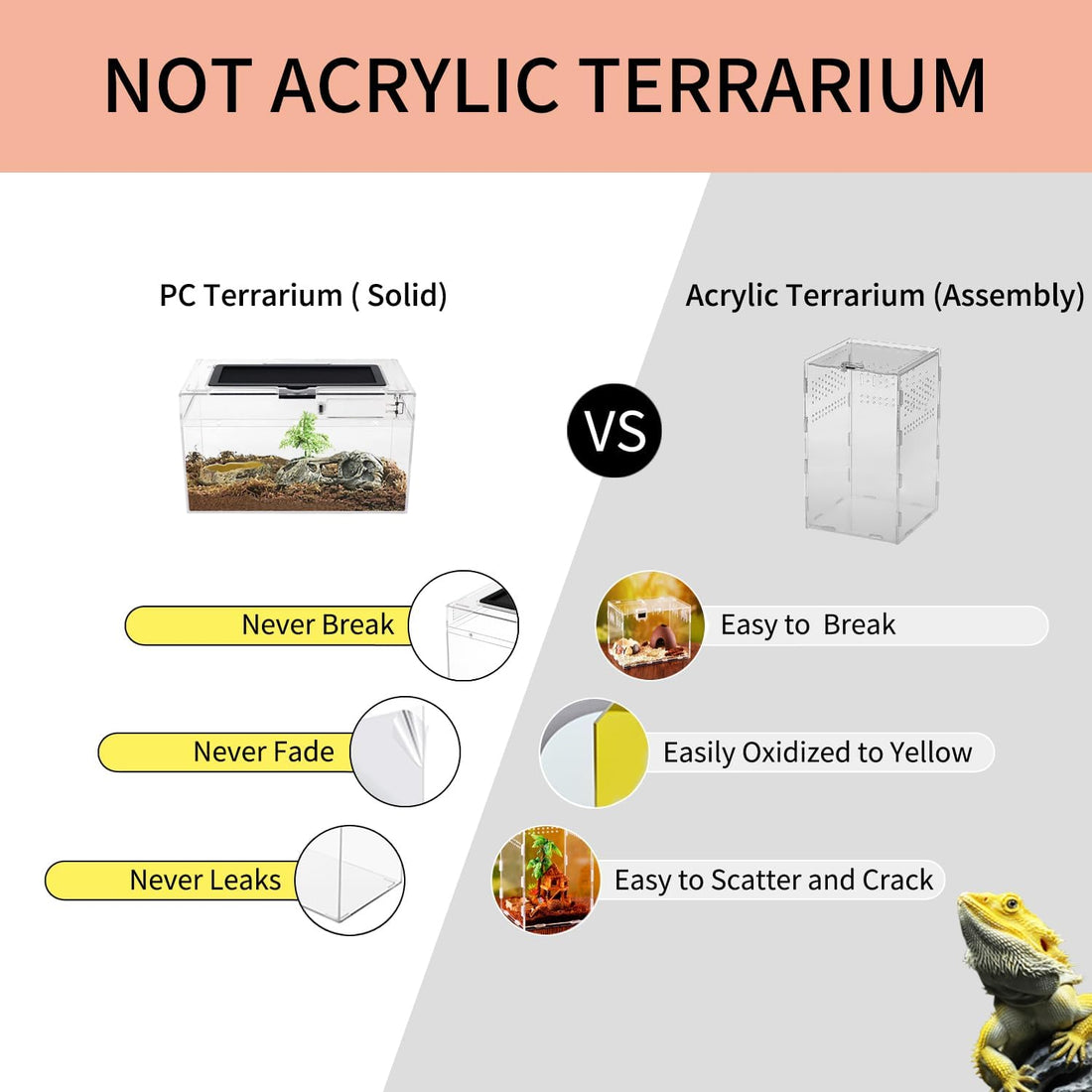 Mini Reptile Terrarium Set,11.8" x 7"x 6" Low Reptile Tank with Full