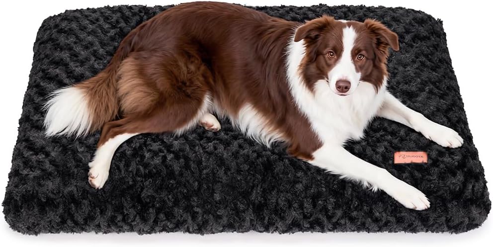 Small Dog Bed Crate Bed for Small Dogs 24"x18" Dog Bed Mat