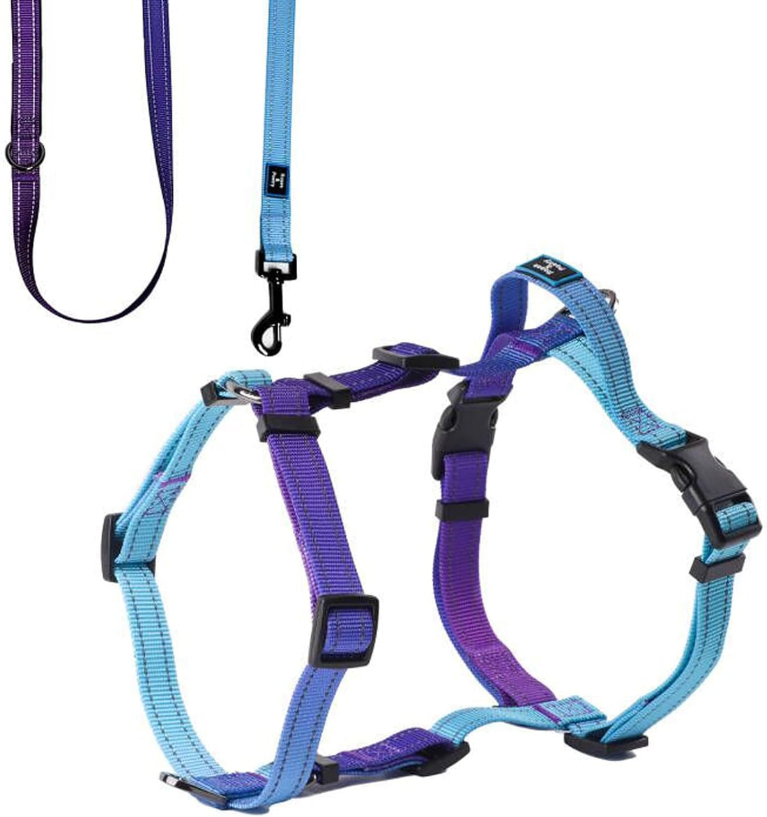 Roses&Poetry Small Dog Harness and Leash Set