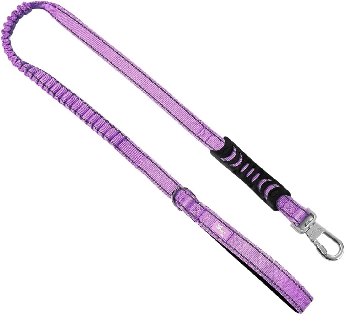 Dog Friendly Co. Bungee Dog Leash, Shock-Resistant