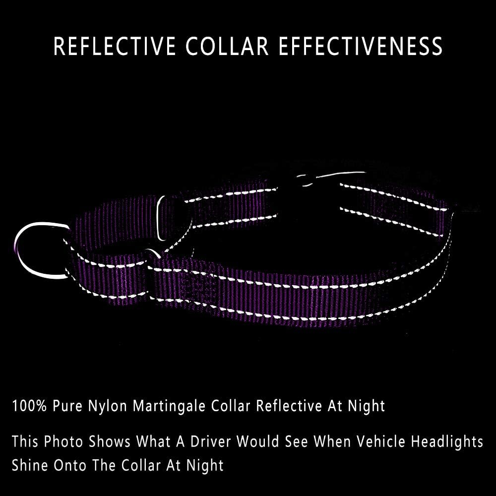 PLUTUS PET Reflective Martingale Collar with Quick Snap Buckle,No