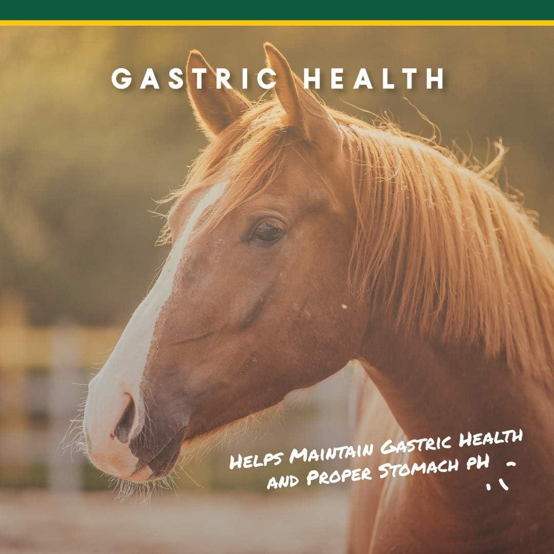 Corta-Flx U-Gard Pellets for Horses, Digestive Supplement