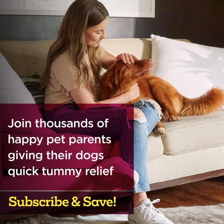 Vetality Stop The Runs | Dog Anti Diarrhea Medicine | 6 Count Chewable