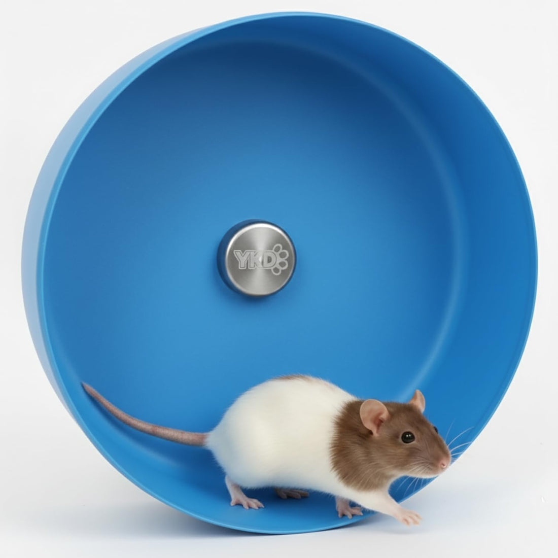 11.8" Aluminum Alloy Silent Rat Exercise Wheel