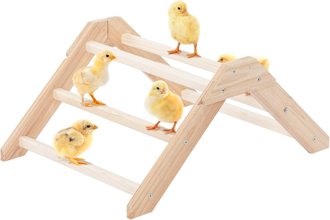 PETSFIT Baby Chick Roosting Bar, Anti-Rotation, Solid Wood