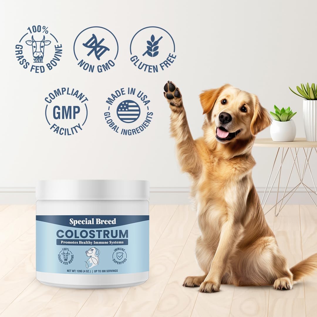 Bovine Colostrum for Dogs and Cats – Grass Fed Colostrum Powder