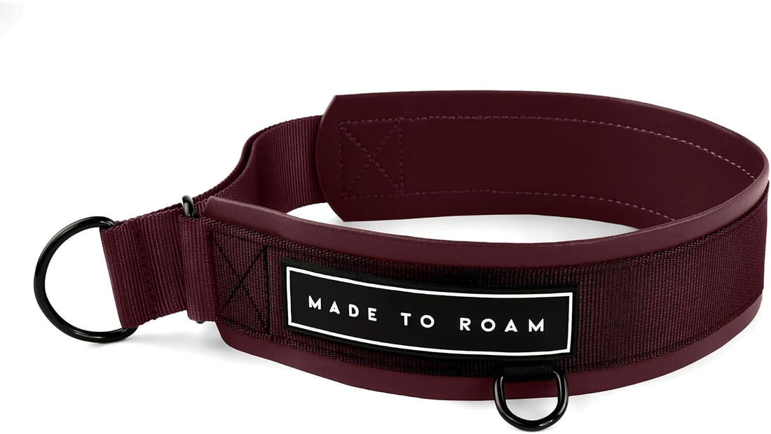 MADE TO ROAM Premium Everyday Dog Collar