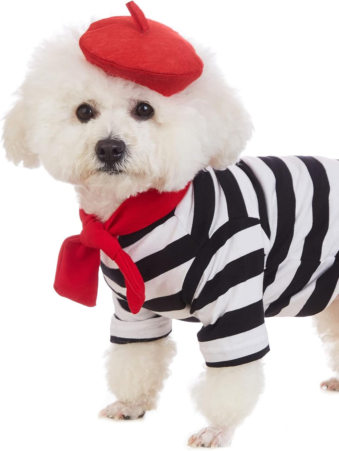 Artist Dog Costume with Funny Hat Painter Pet Clothes for Small Dog