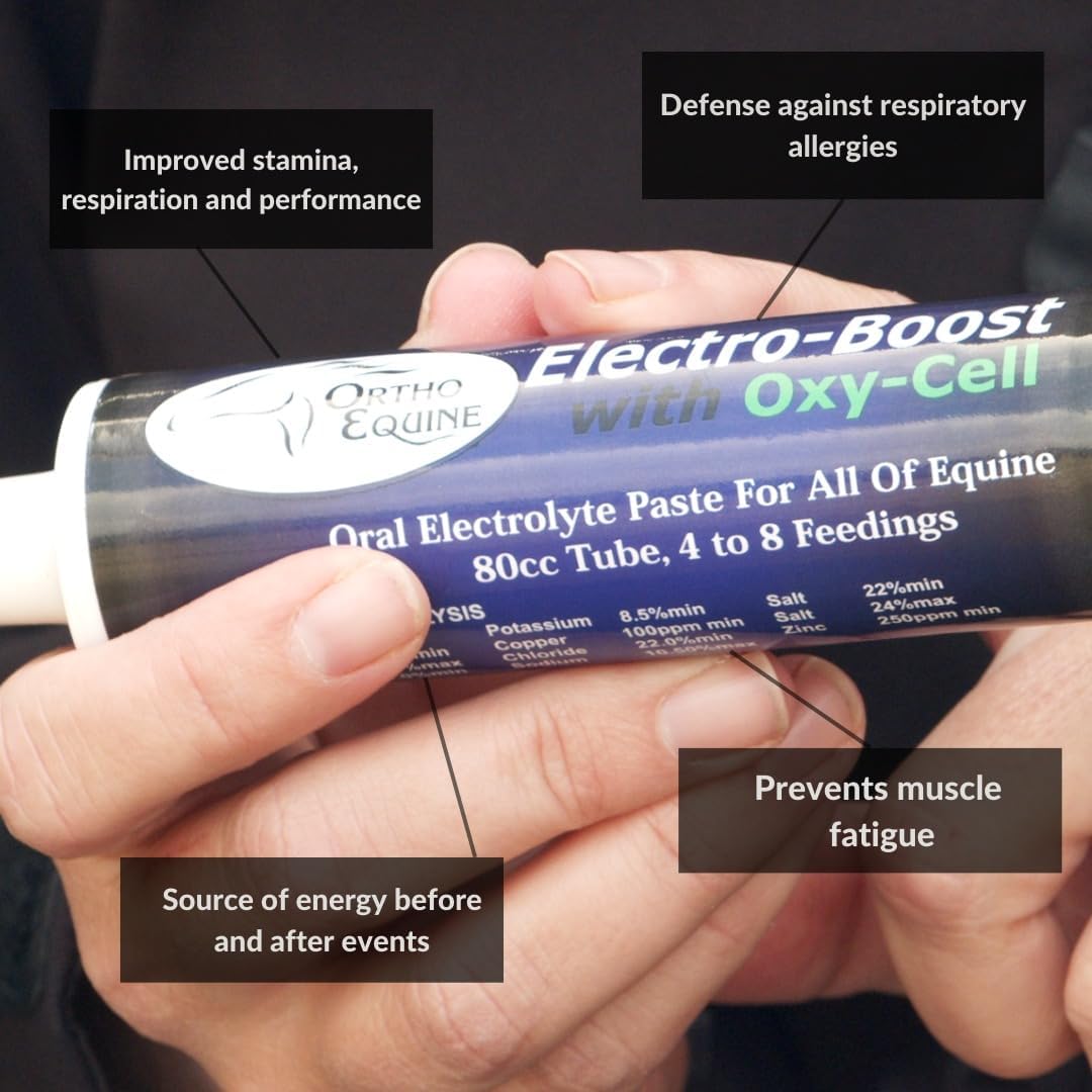 Electro-Boost Oxy-Cell Electrolyte Paste for Horses, 80ml