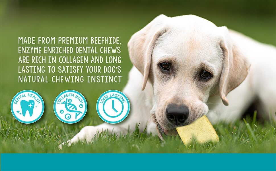 Real Hide | Enzyme Enriched Dental Care Dog Chews