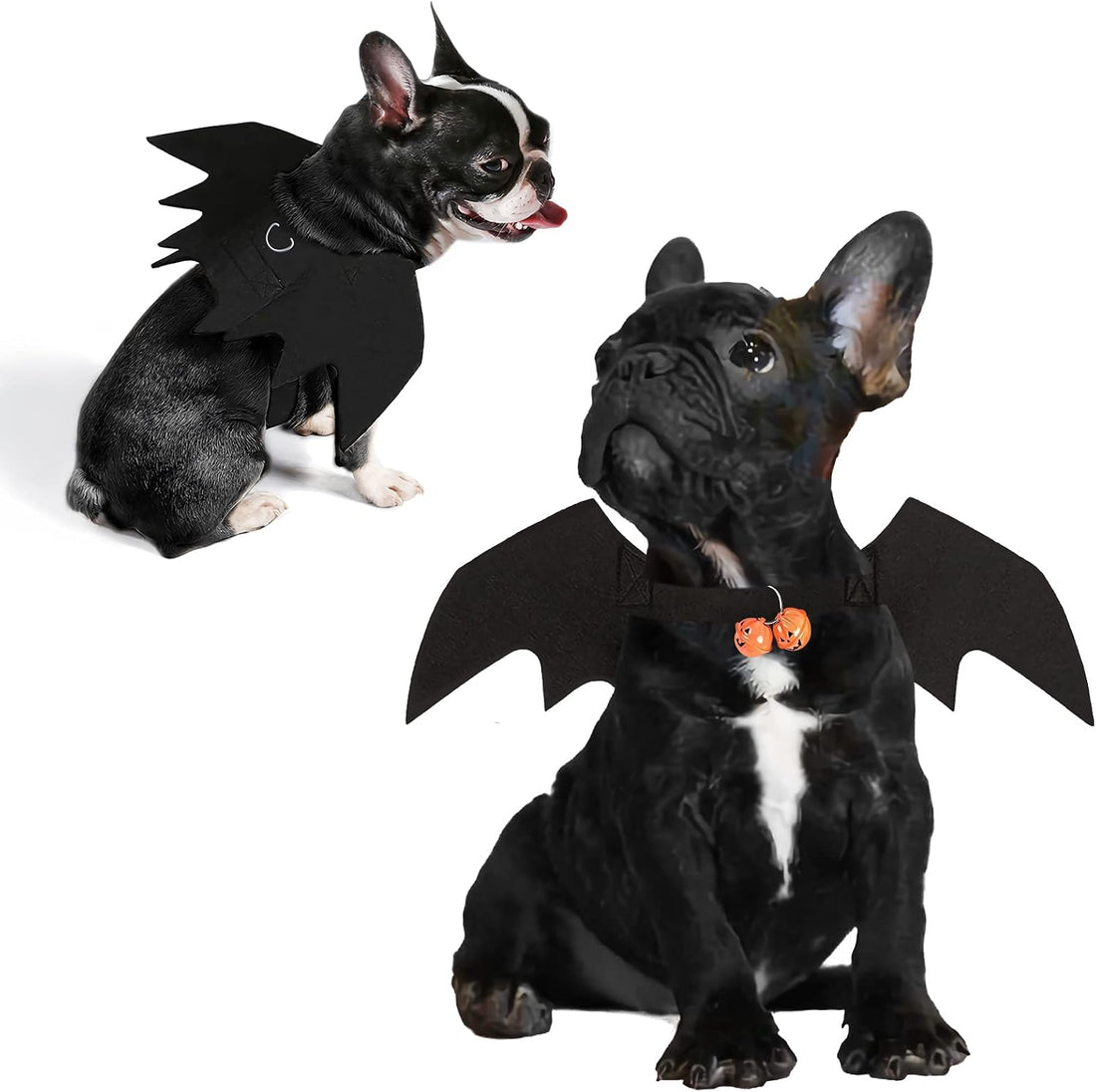 Halloween Dog Bat Wings Pet Costume with Pumpkin Bells for Halloween