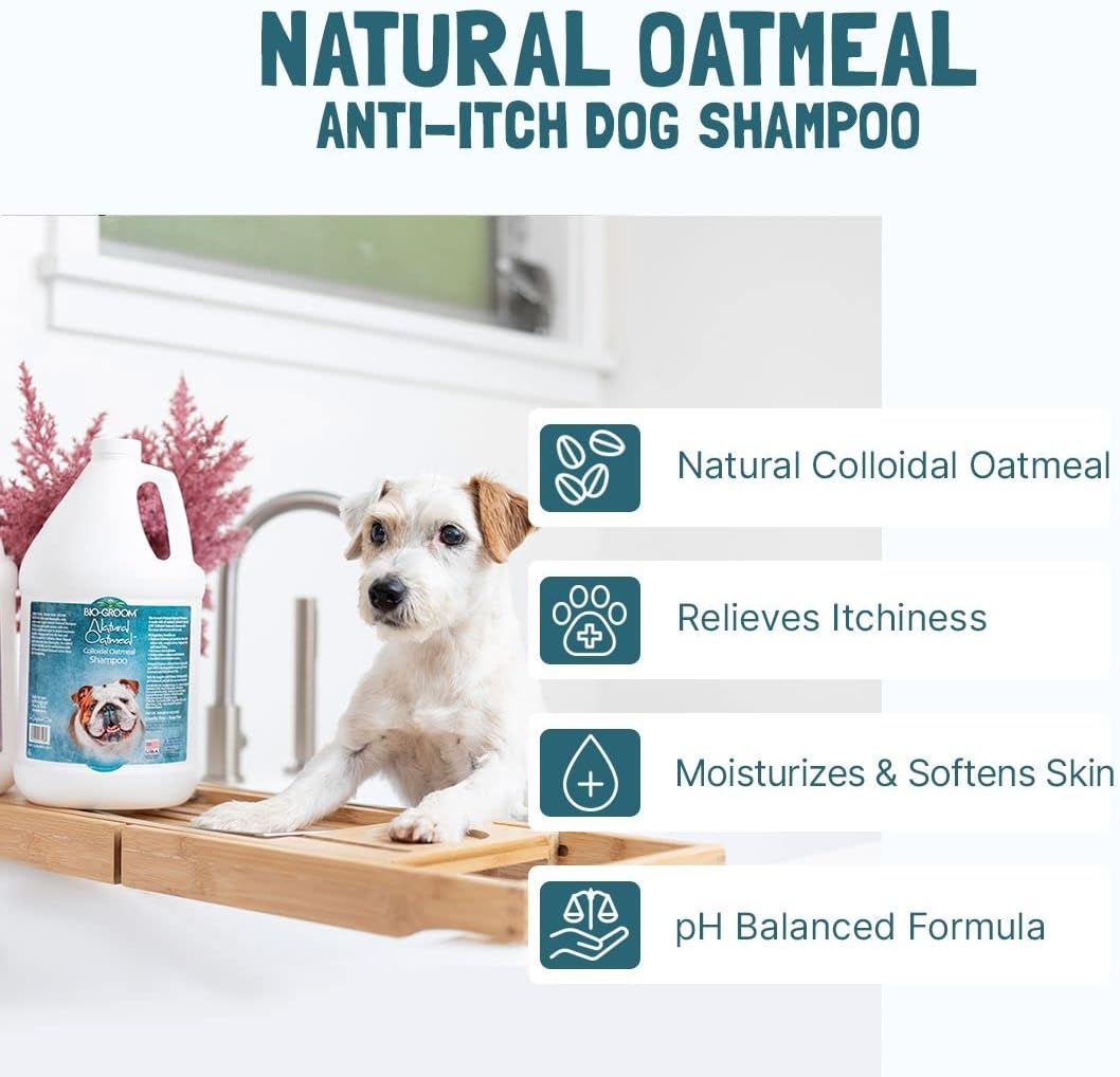 Bio-Groom Oatmeal Dog Shampoo - for Allergies and Itching