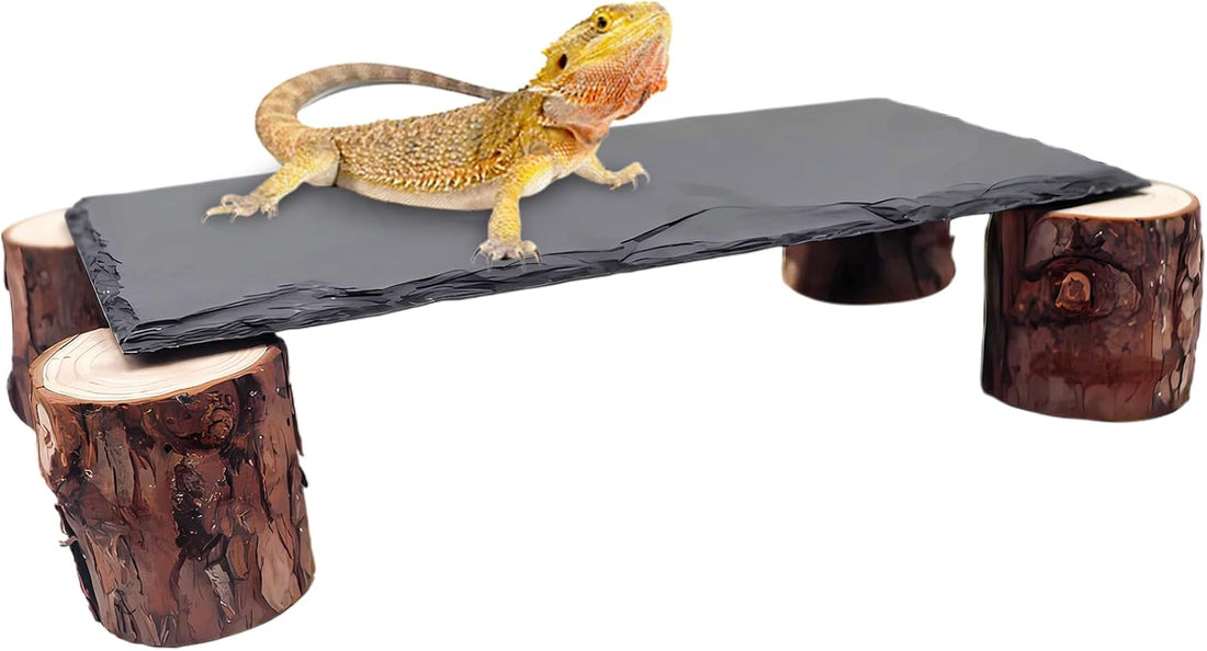 Bearded Dragon Basking Platform