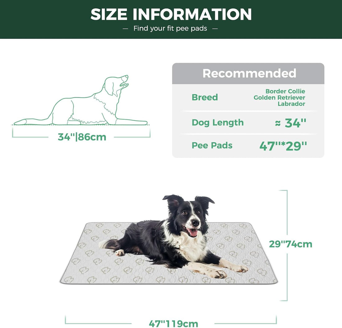 FXW Washable Pee Pads for Dogs, Super Absorbent