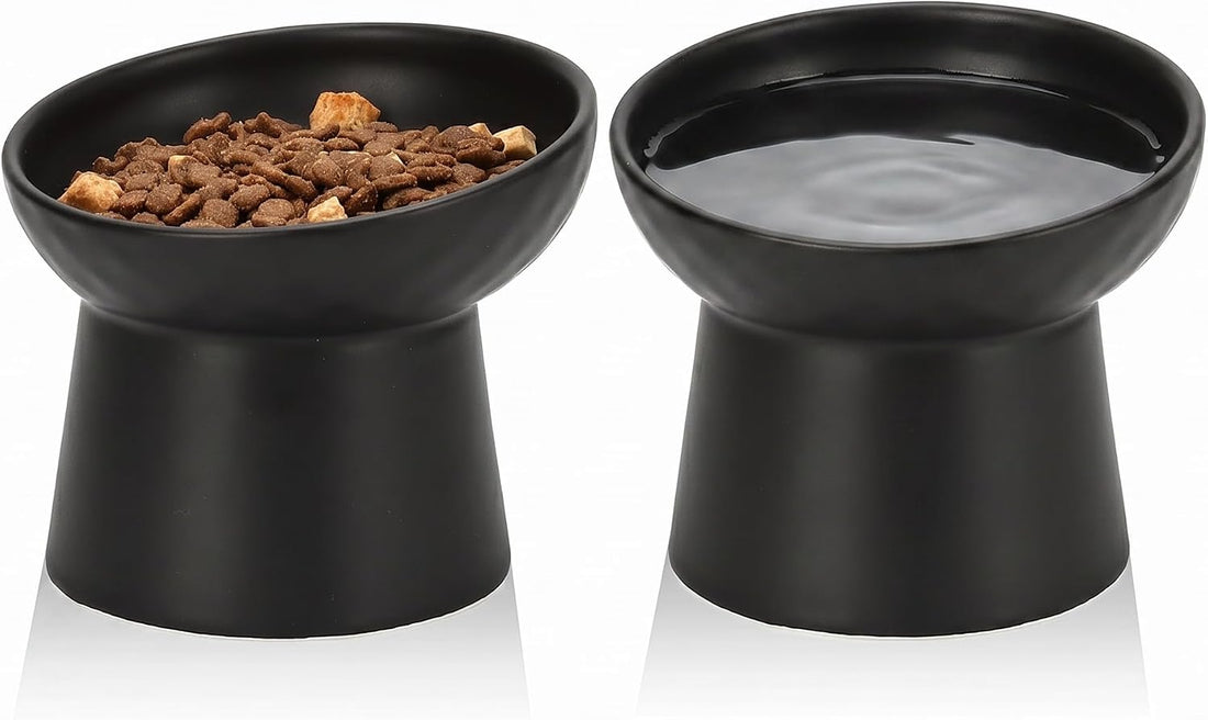 YauYik Raised Cat Bowl, Elevated Cat Food Bowls with Tilted Angle
