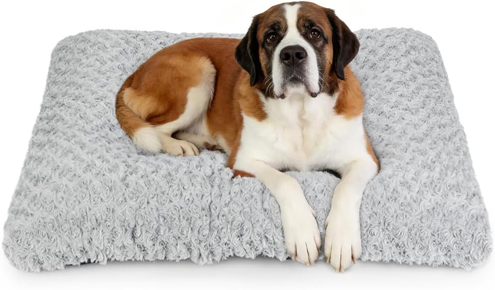 Small Dog Bed Crate Bed for Small Dogs 24"x18" Dog Bed Mat