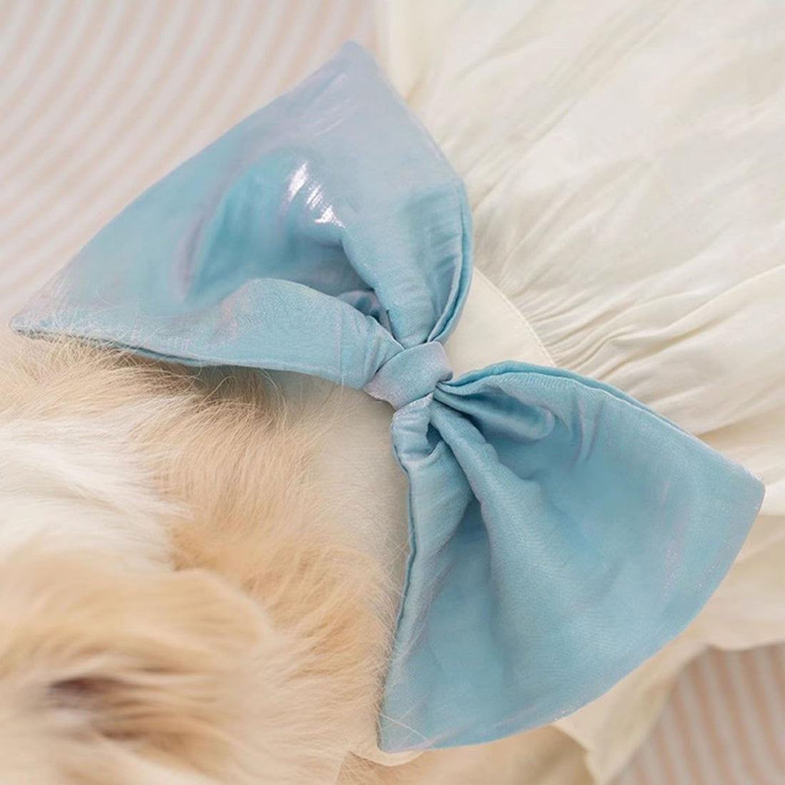FLAdorepet White Large Dog Princess Dress Christmas Outfit Costume,6XL