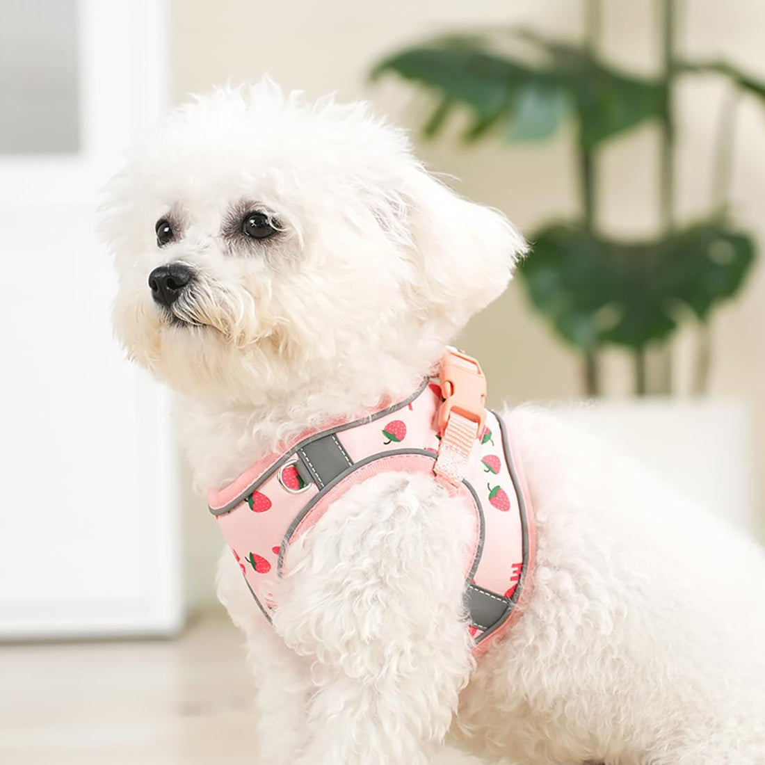 Step in Dog Harness and Leash Set, Pet Vest Harness