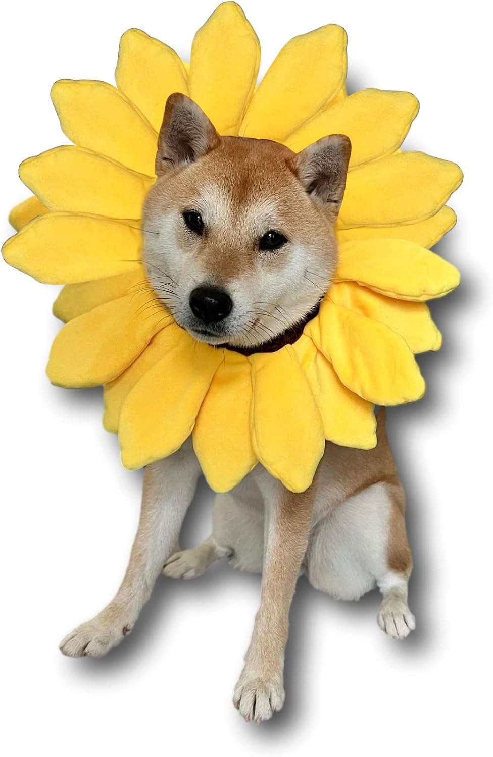ComfyCamper Sunflower Dog Costume for Small Medium Large Dog Puppy
