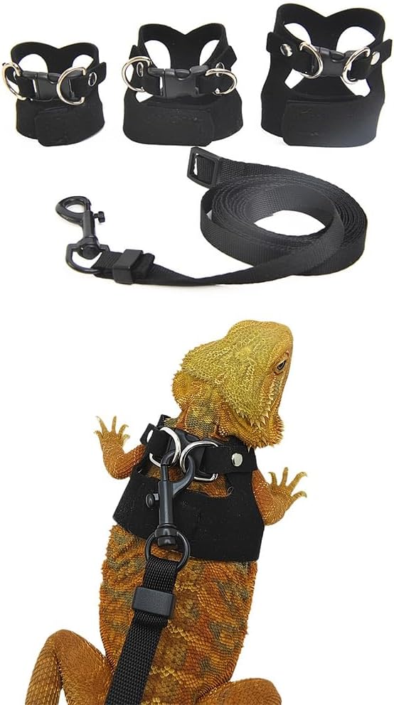 3 Pack Bearded Dragon Harness and Leash Set