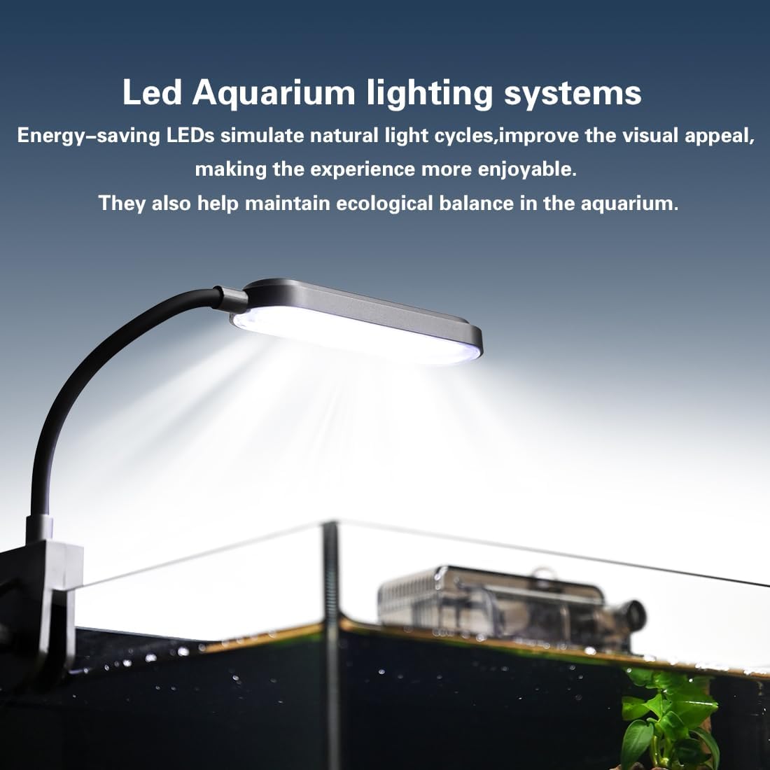 1.8 Gallon Fish Tank with Light,Filter,Lid,Landscape Accessories