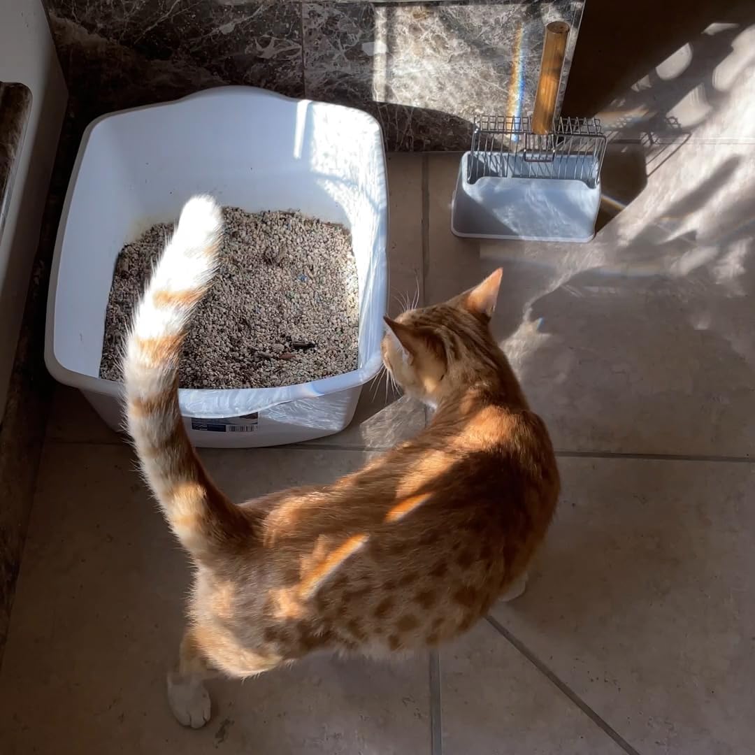UFECODO Fast Sifting Cat Litter Scoop with Holder Stand