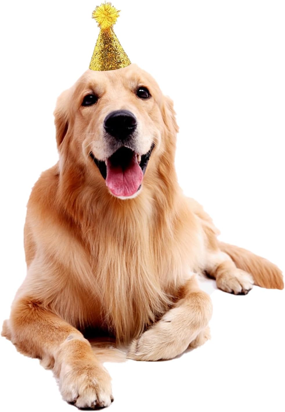 10 Pcs Dog Birthday Hat Set for Small Medium Dogs Cat Puppies